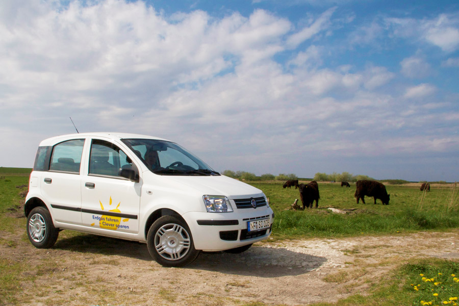 Auf Sylt den Panda Erdgas fahren und sparen